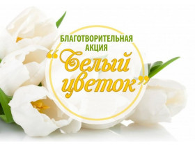 Благотворительный праздник «Белый цветок».